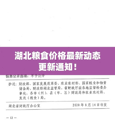 湖北粮食价格最新动态更新通知！