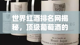 世界红酒排名网揭秘，顶级葡萄酒的尊贵与奥秘探索