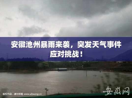 安徽池州暴雨来袭，突发天气事件应对挑战！