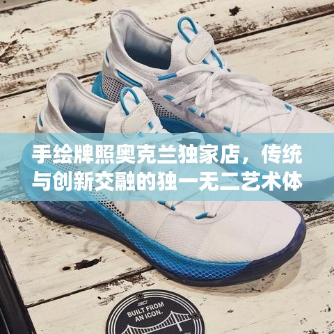 手绘牌照奥克兰独家店，传统与创新交融的独一无二艺术体验