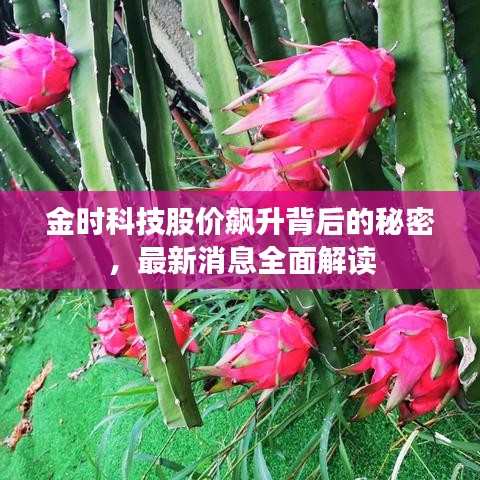 金时科技股价飙升背后的秘密，最新消息全面解读