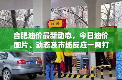 合肥油价最新动态，今日油价图片、动态及市场反应一网打尽