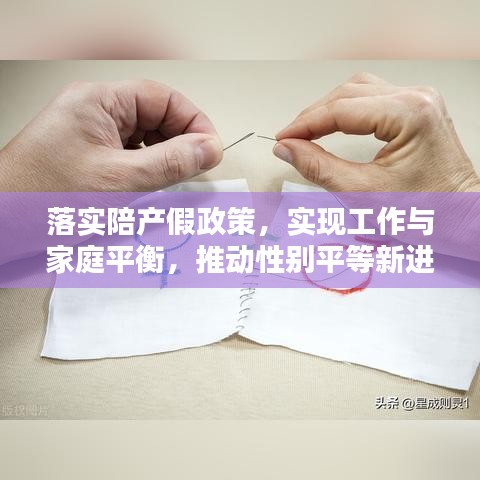 落实陪产假政策，实现工作与家庭平衡，推动性别平等新进程