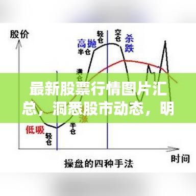最新股票行情图片汇总，洞悉股市动态，明智投资选择