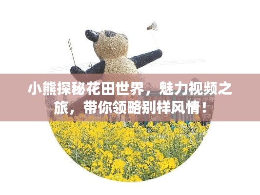 小熊探秘花田世界，魅力视频之旅，带你领略别样风情！