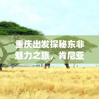 重庆出发探秘东非魅力之旅，肯尼亚旅游攻略全解析