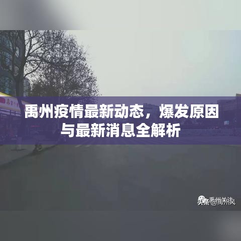 禹州疫情最新动态，爆发原因与最新消息全解析
