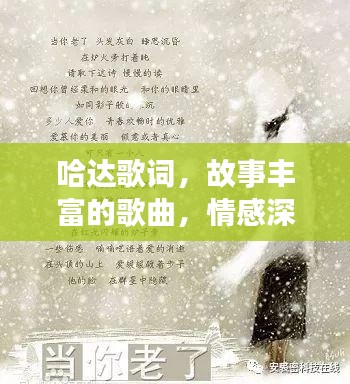 哈达歌词，故事丰富的歌曲，情感深沉的旋律