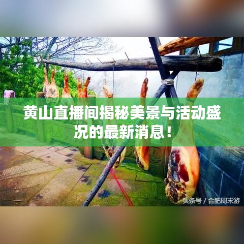 黄山直播间揭秘美景与活动盛况的最新消息！
