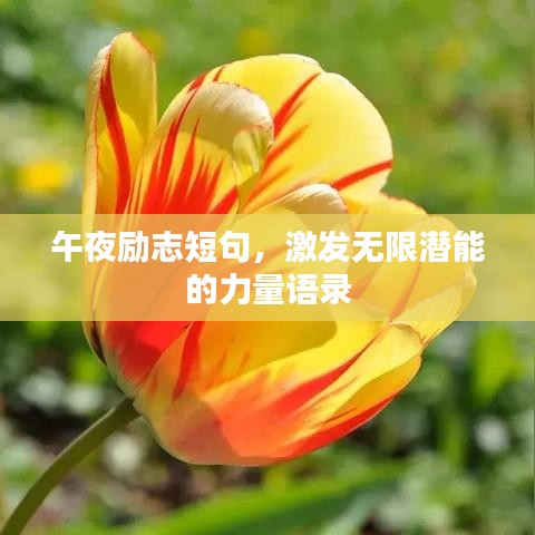 午夜励志短句，激发无限潜能的力量语录