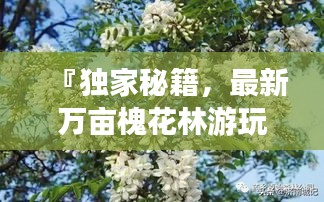 『独家秘籍，最新万亩槐花林游玩全攻略』