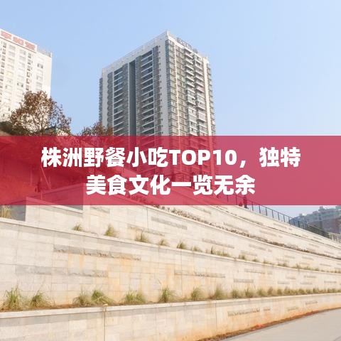 株洲野餐小吃TOP10，独特美食文化一览无余