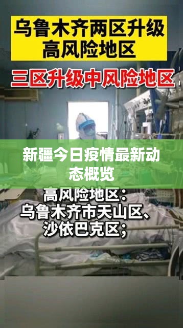新疆今日疫情最新动态概览