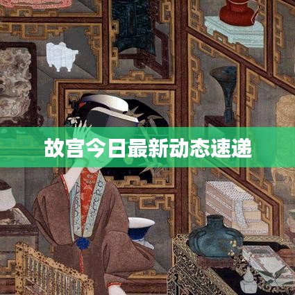 故宫今日最新动态速递