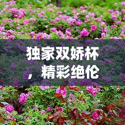 独家双娇杯，精彩绝伦的体育盛宴狂欢开启！