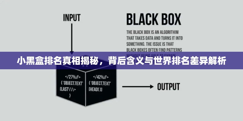 小黑盒排名真相揭秘，背后含义与世界排名差异解析
