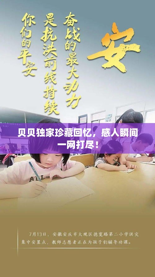 贝贝独家珍藏回忆，感人瞬间一网打尽！