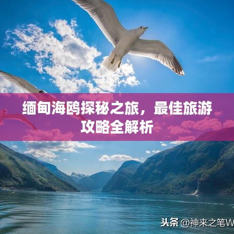 缅甸海鸥探秘之旅，最佳旅游攻略全解析