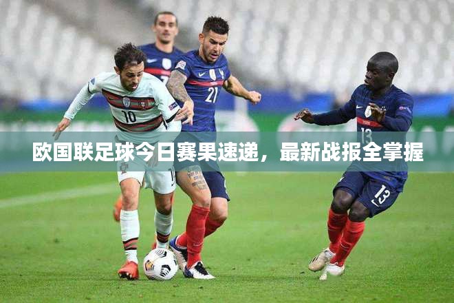 蓬荜生辉