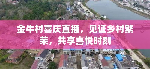 金牛村喜庆直播，见证乡村繁荣，共享喜悦时刻