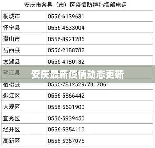 迷离马虎
