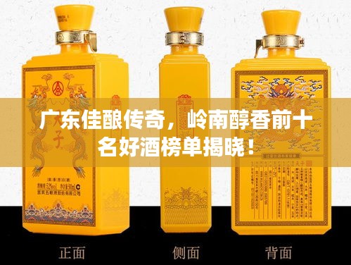 联系我们 第31页