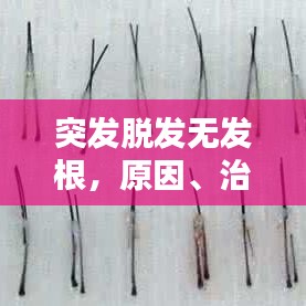 忠心耿耿
