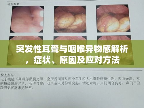 突发性耳聋与咽喉异物感解析，症状、原因及应对方法