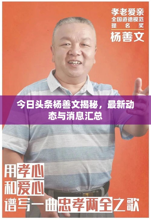 今日头条杨善文揭秘，最新动态与消息汇总