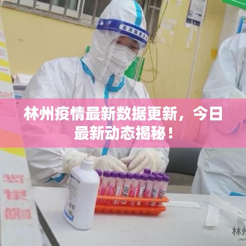 林州疫情最新数据更新，今日最新动态揭秘！
