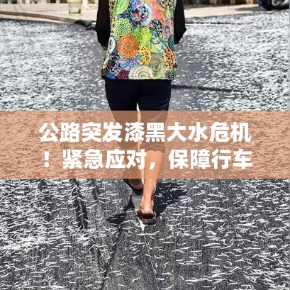 择善而从