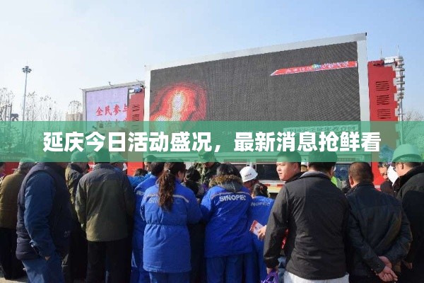 延庆今日活动盛况，最新消息抢鲜看