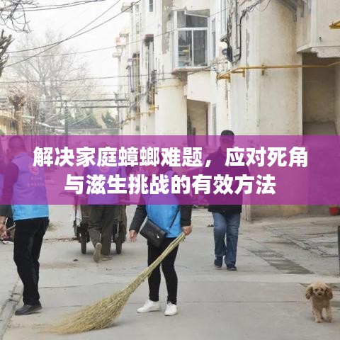 容光焕发