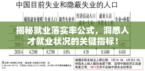 揭秘就业落实率公式，洞悉人才就业状况的关键指标！