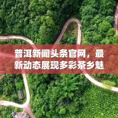 普洱新闻头条官网，最新动态展现多彩茶乡魅力