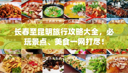 长春至昆明旅行攻略大全，必玩景点、美食一网打尽！