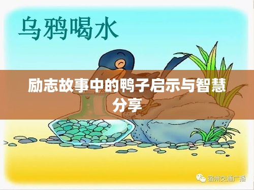 励志故事中的鸭子启示与智慧分享
