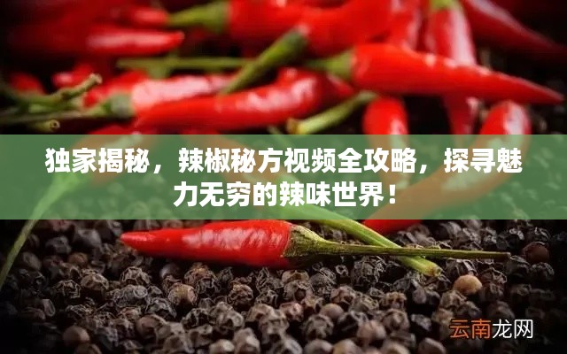 富贵不能淫