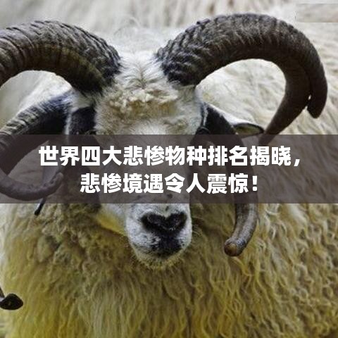 世界四大悲惨物种排名揭晓，悲惨境遇令人震惊！