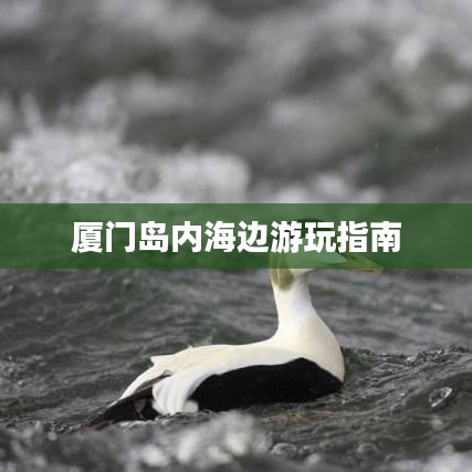 厦门岛内海边游玩指南