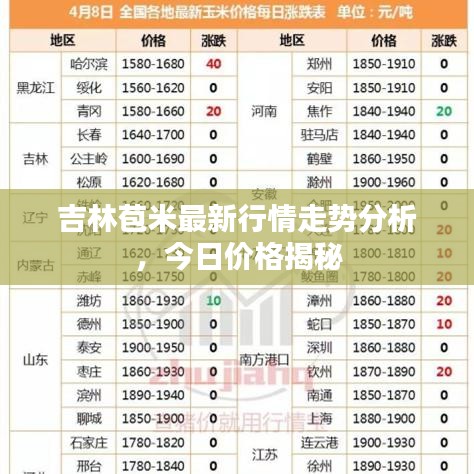 吉林苞米最新行情走势分析，今日价格揭秘