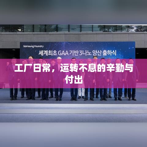 工厂日常，运转不息的辛勤与付出