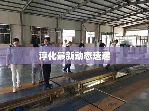 淳化最新动态速递