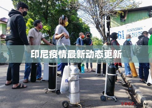 印尼疫情最新动态更新