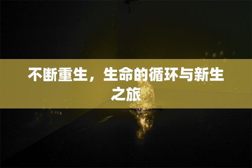 不断重生，生命的循环与新生之旅