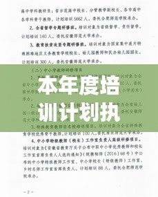 本年度培训计划执行深度剖析，成效与挑战并存