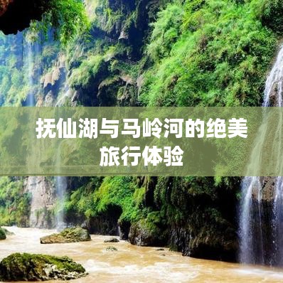 花香鸟语