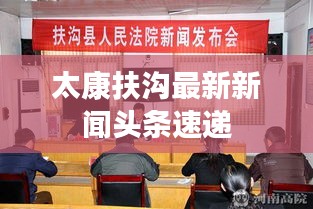 太康扶沟最新新闻头条速递