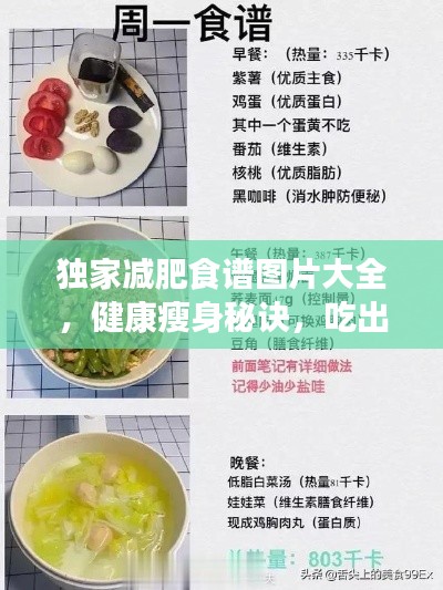 独家减肥食谱图片大全，健康瘦身秘诀，吃出美丽人生！
