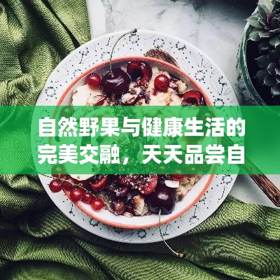 笨鸟先飞